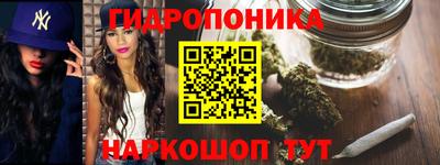 гашик Обь