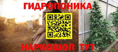 гашик Обь