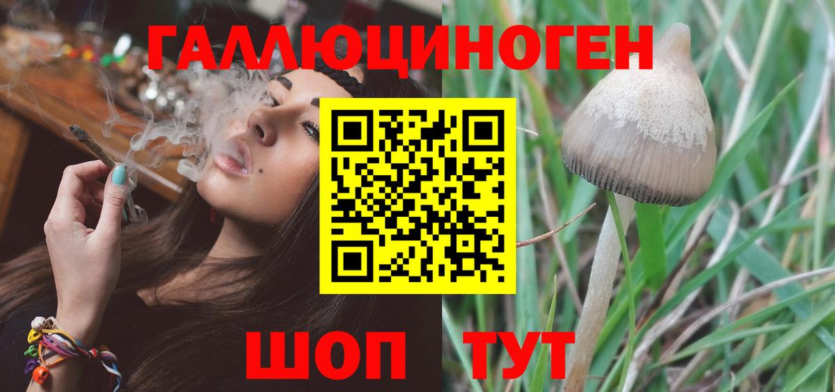 Сухой Лог  Галлюциногенные грибы мухоморы  Галлюциногенные грибы мухоморы  Вход с VPN 